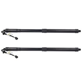 Pair Rear Left / Right Power Hatch Lift Support for Infiniti JX35 2013 QX60 2014-2017 2.5L 3.5L 905603JA0D
